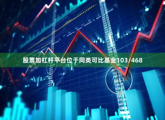 股票加杠杆平台位于同类可比基金103/468