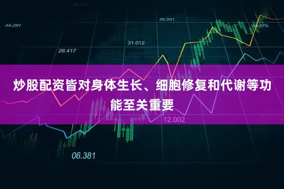 炒股配资皆对身体生长、细胞修复和代谢等功能至关重要