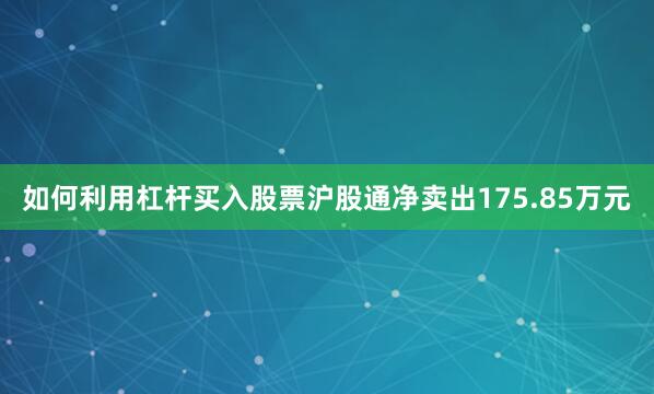 如何利用杠杆买入股票沪股通净卖出175.85万元