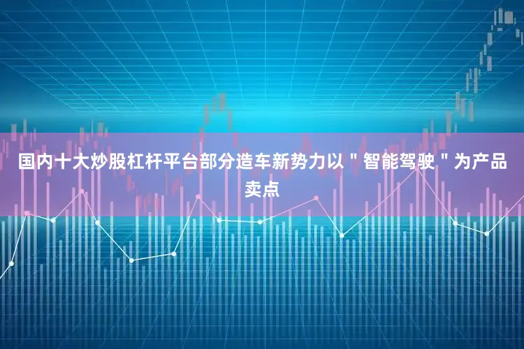 国内十大炒股杠杆平台部分造车新势力以＂智能驾驶＂为产品卖点