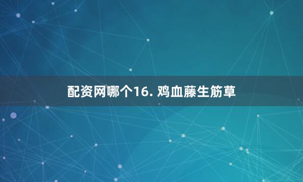配资网哪个16. 鸡血藤生筋草